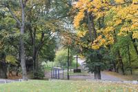 Zdjęcie: DSC_4414.jpg